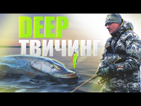 Видео: DEEP твичинг. Учимся у ПРОФИ