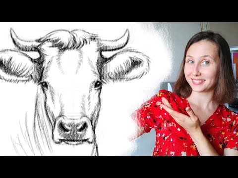 Видео: Как нарисовать быка карандашом поэтапно для начинающих