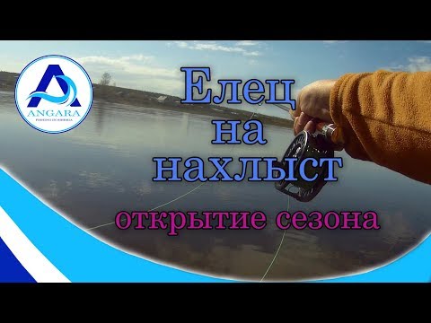 Видео: Рыбалка. Елец на нахлыст. Открытие сезона. Ангара.