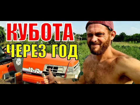 Видео: Год эксплуатации старого японца. ТО Kubota-GL 21. Овощи в июле.