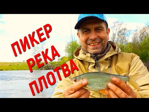 Видео: Пикер. Река. Плотва.