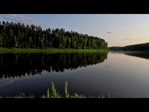 Видео: Рыбалка на Западной Двине (Даугаве) в Латгалии