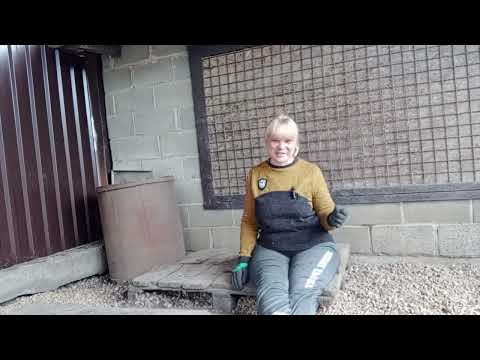 Видео: Почему кавказская овчарка?