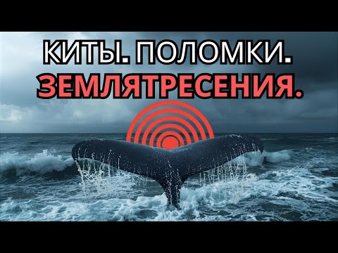 Видео: Землетрясение в море! Киты, поломки и жизнь на буксире в Арктике