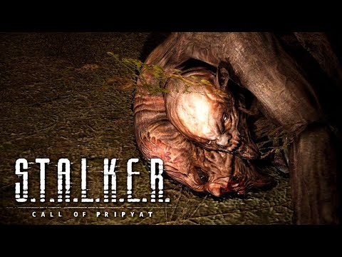 Видео: ВЕЧІРНІЙ СТРІМ ● S.T.A.L.K.E.R. Поклик Прип'яті #2