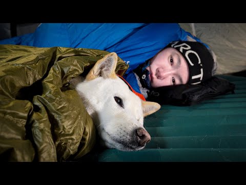 Видео: Поход в лес зимой -11℃ с 12-летней собакой | пеший туризм