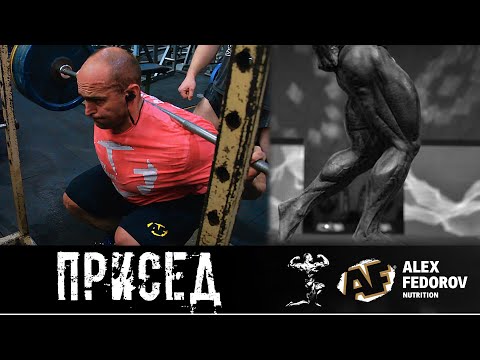 Видео: Присед \ Barbell Squat