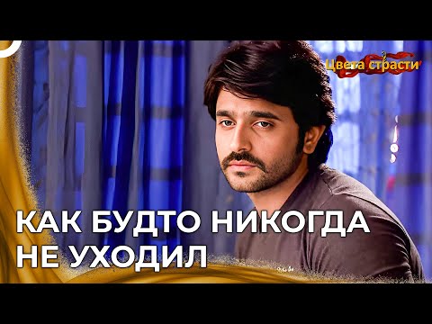 Видео: Эта Картина Очень Расчувствовала Рудру | Цвета страсти