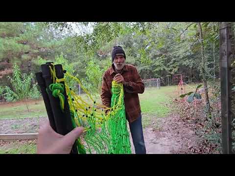 Видео: Можно ли не пускать оленей в персиковый сад?