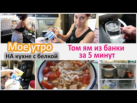 Видео: Мое утро. На кухне с белкой. Том ям из банки