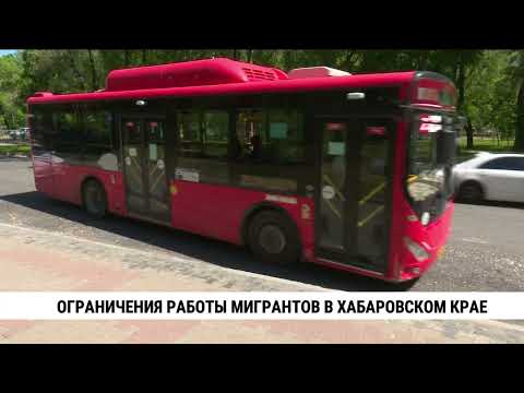 Видео: Ограничения работы мигрантов в Хабаровском крае