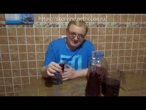 Видео: Готовим наливку из винограда