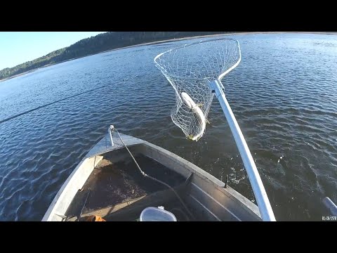 Видео: Перемёт. Поперечная установка.