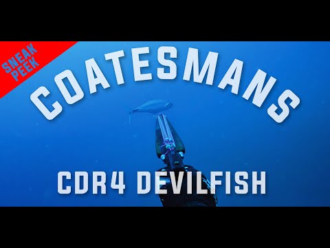 Видео: НОВОЕ ружьё Coatesmans CDR4 Devilfish Speargun — подводная охота с берега в 4K