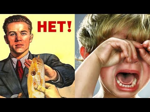 Видео: КАК УГОВОРИТЬ РОДИТЕЛЕЙ КУПИТЬ ЗМЕЮ?!🐍