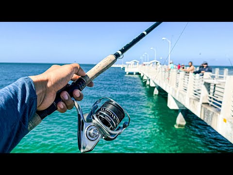 Видео: Удачная рыбалка на пирсах Флориды | FWC присоединяется к чату