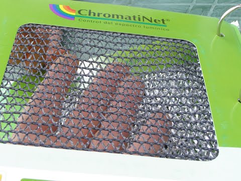 Видео: ОГОРОД: СТАВЛЮ ПРИТЕНЯЮЩИЕ СЕТКИ!