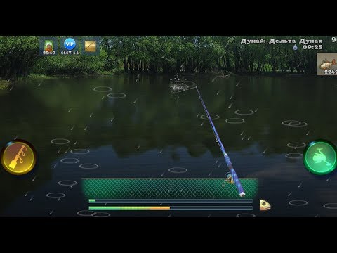 Видео: 25 подряд разных видов рыб в рыбалке World of Fishers