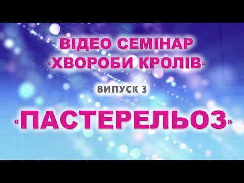 Видео: ПАСТЕРЕЛЬОЗ у кролів. ПАСТЕРЕЛЛЁЗ у кролей.