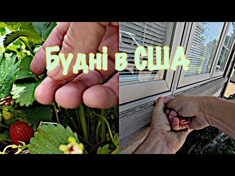 Видео: Американські будні: ферма з родиною і реальна робота руками на будівництві