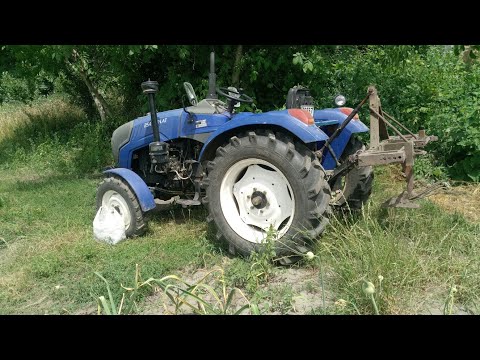 Видео: Викопую озимий часник,сезон 2024р