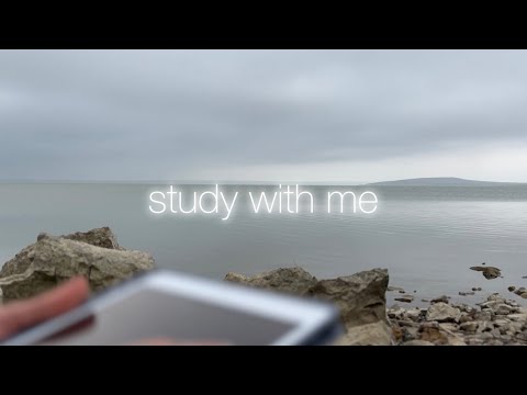 Видео: 🐚1hr study with me | background noise, lofi music | учись со мной на берегу залива