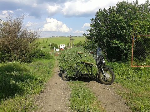 Видео: Заготовка веников для кроликов на зиму.