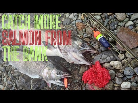 Видео: СДЕЛАЙТЕ ЭТО, чтобы поймать больше лосося на отмель в штате Вашингтон!