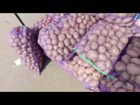 Видео: Ринок оптовий Зелений у Чернівцях.Ціни на КАРТОПЛЮ, 🥔 цибуля ,🧅 перець,🫑огірки🥒.