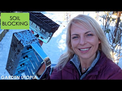 Видео: РАЗСАДИ в БЛОКЧЕТА от ПОЧВА | Как се прави Soil Blocking?