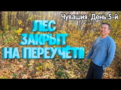 Видео: Лес закрыт на переучёт! Чувашия. День 5-й