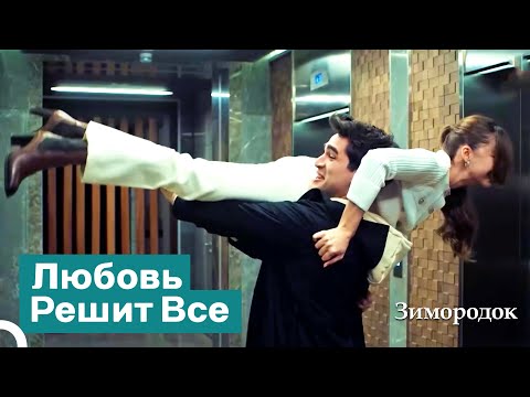 Видео: Никто Не Сможет Разлучить Меня с Моей Женой! | Зимородок