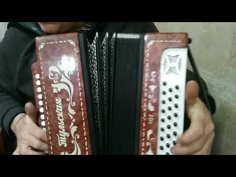 Видео: Гармонь Тульская 301 в тональности МИ БЕМОЛЬ МАЖОР