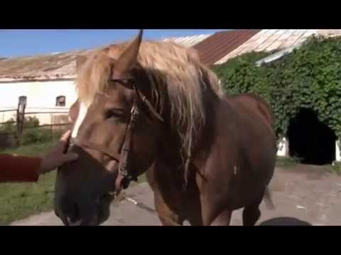 Видео: Советский тяжеловоз