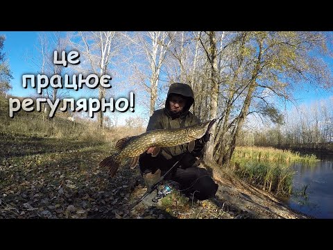 Видео: ЩУКА в СИЛЬНИЙ вітер! ВОБЛЕР чи РЕЗИНА?