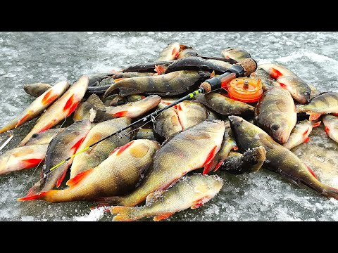 Видео: ПЕРВЫЙ ЛЁД. ИСКУПАЛСЯ И ПЕРВЫХ ОКУНЕЙ НАДЁРГАЛ!!!