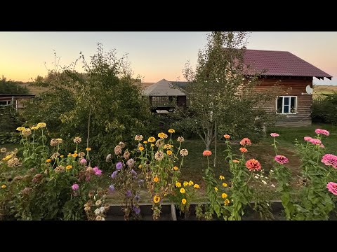 Видео: Порядок деления основного отпуска на части