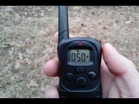 Видео: Дрессировка. Электроошейник