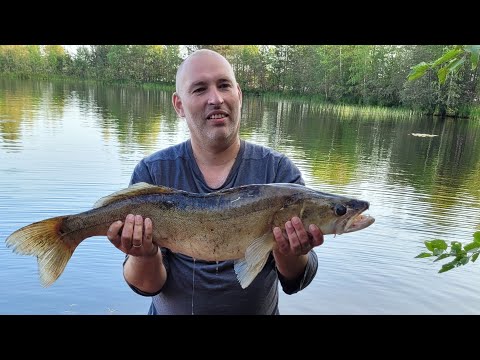 Видео: Карелия Выг озеро 2024г.😊              2 серия😊