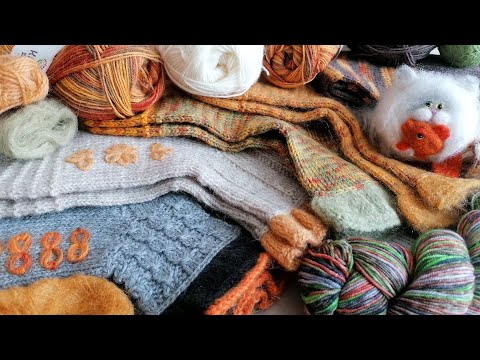 Видео: Все СУГРЕВУШКИ февраля  и кот Зефир 😕❄️🧦 #носкиспицами
