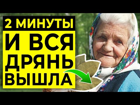 Видео: Что творит ЛАВРОВЫЙ ЛИСТ! Самый мощный антисептик от 100 болезней | Мой способ употребления лавра