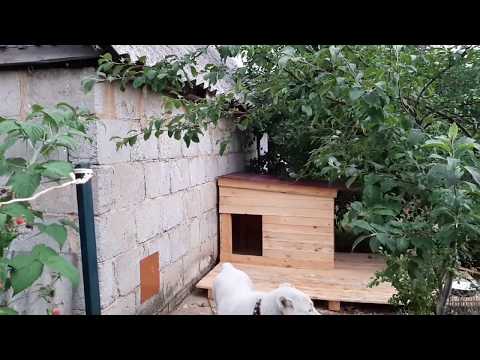 Видео: Будка для САО среднеазиатской овчарки алабай
