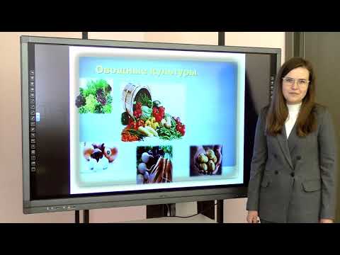 Видео: 7 класс. Биология. Культурные растения