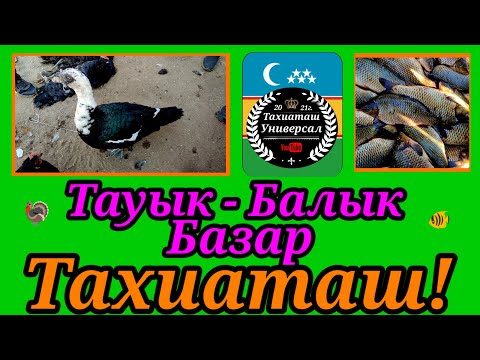 Видео: ТАУЫК - БАЛЫК БАЗАР, ПТИЧИЙ РЫНОК #тахиаташ#каракалпакистан#бахалары#цены#тауык#куры#кораз#петух