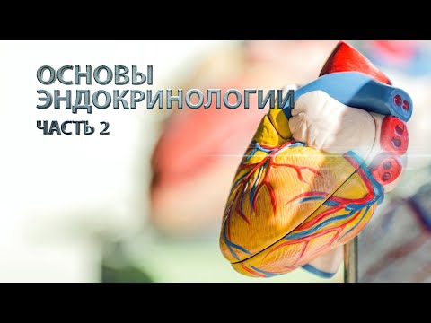 Видео: Основы эндокринологии. Часть 2.