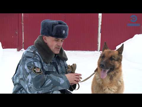 Видео: В Пензе четвероногий боец ФСИН уходит на заслуженный отдых