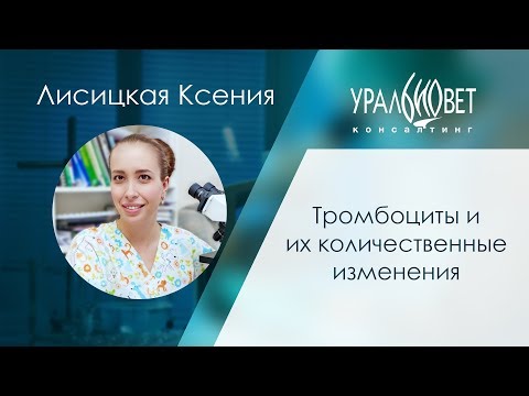 Видео: Тромбоциты и их количественные изменения. Лисицкая Ксения