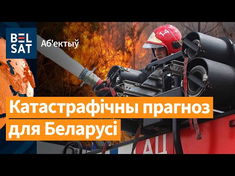 Видео: Началась страшная засуха: огонь ест лема, смог накрывает города – это только начало / Объектив