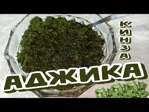 Видео: АДЖИКА Зелёная из КИНЗЫ и ОСТРОГО Перца, Приправа для СУПОВ и не только.