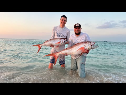 Видео: Рыболовная экспедиция на остров Сокотра. Ловля GT, Индийский океан. GT-fishing Indian ocean Socotra